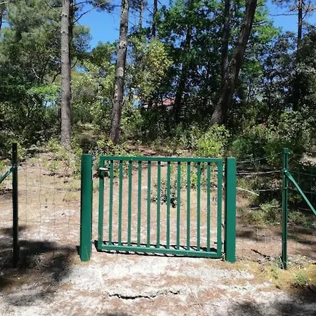 Maison Entre Et Ocean Wifi Dom wakacyjny Lacanau